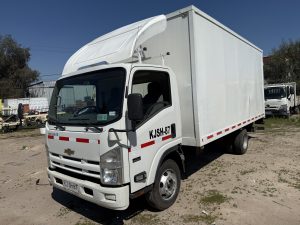 IMG_5448
