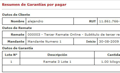 Resumen de garantías a cancelar