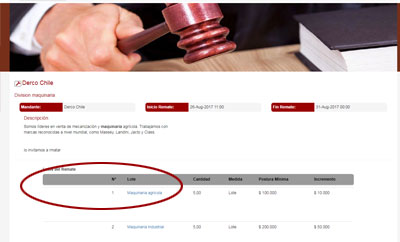Ficha descriptiva de lote en remate